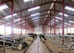 Высокопрочные светлые стальные сараи фермы на дизайн 9406000090 скотин полуфабрикат